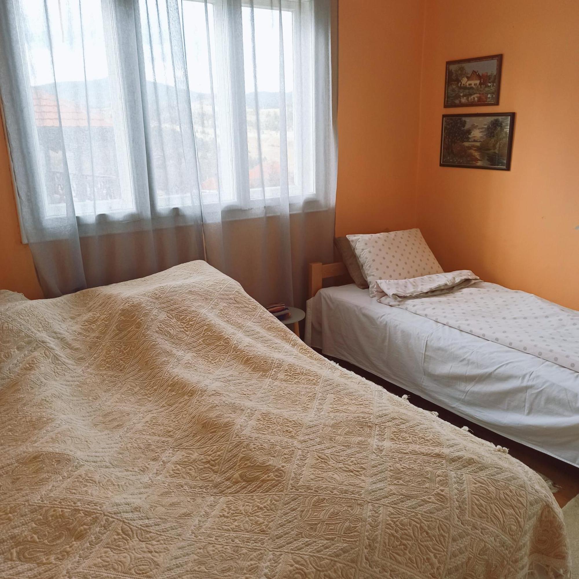Kremna Kuca Despot 아파트 객실 사진